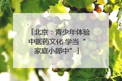 北京：青少年体验中医药文化 学当“家庭小郎中”
