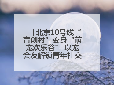 北京10号线“青创村”变身“萌宠欢乐谷” 以宠会友解锁青年社交新范式