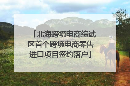北海跨境电商综试区首个跨境电商零售进口项目签约落户