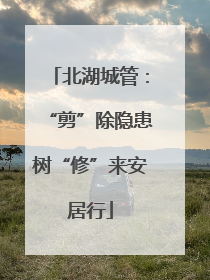 北湖城管：“剪”除隐患树“修”来安居行