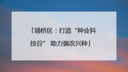 埇桥区：打造“种业科技谷” 助力强农兴种