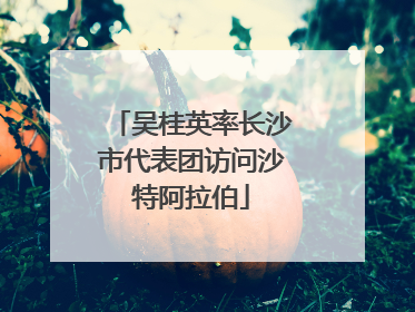 吴桂英率长沙市代表团访问沙特阿拉伯