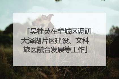 吴桂英在望城区调研大泽湖片区建设、文科旅医融合发展等工作