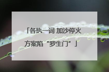 各执一词 加沙停火方案陷“罗生门”