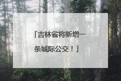 吉林省将新增一条城际公交！