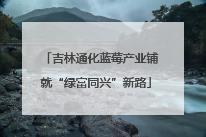 吉林通化蓝莓产业铺就“绿富同兴”新路