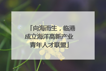 向海而生，临港成立海洋高新产业青年人才联盟