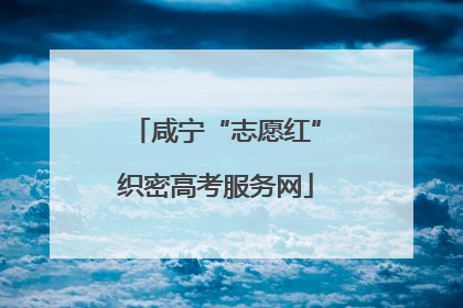 咸宁“志愿红”织密高考服务网