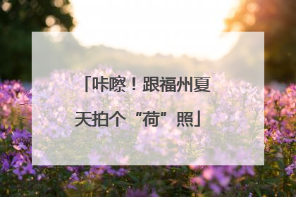 咔嚓！跟福州夏天拍个“荷”照