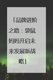 品牌进阶之路：袋鼠妈妈开启未来发展新战略