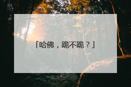 哈佛，跪不跪？