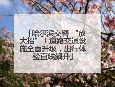 哈尔滨交警 “放大招”！道路交通设施全面升级，出行体验直线飙升