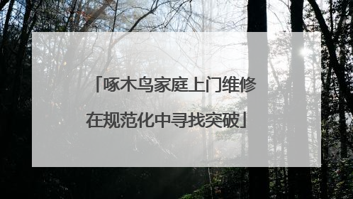 啄木鸟家庭上门维修在规范化中寻找突破