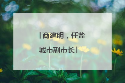 商建明，任盐城市副市长