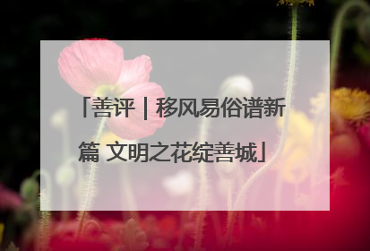 善评｜移风易俗谱新篇 文明之花绽善城