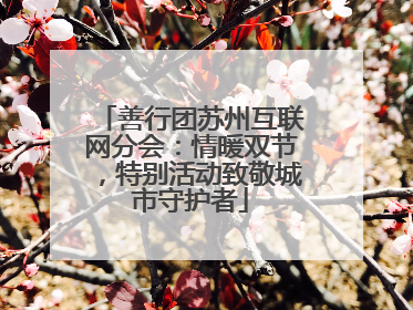 善行团苏州互联网分会：情暖双节，特别活动致敬城市守护者