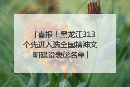 喜报！黑龙江313个先进入选全国精神文明建设表彰名单