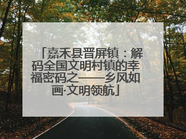 嘉禾县晋屏镇：解码全国文明村镇的幸福密码之——乡风如画·文明领航