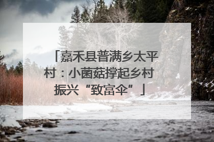 嘉禾县普满乡太平村：小菌菇撑起乡村振兴“致富伞”