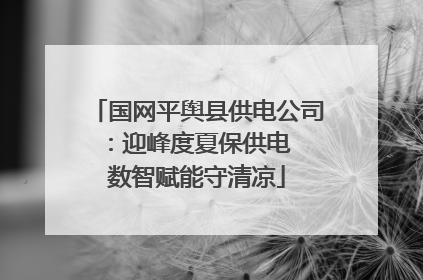 国网平舆县供电公司：迎峰度夏保供电  数智赋能守清凉