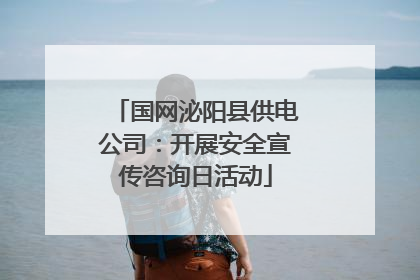 国网泌阳县供电公司：开展安全宣传咨询日活动