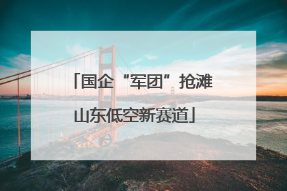 国企“军团”抢滩山东低空新赛道