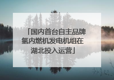 国内首台自主品牌氢内燃机发电机组在湖北投入运营