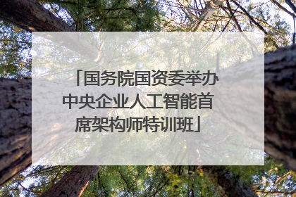 国务院国资委举办中央企业人工智能首席架构师特训班