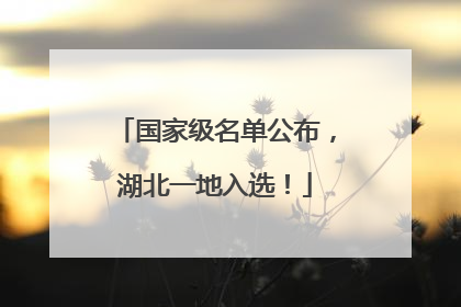 国家级名单公布，湖北一地入选！