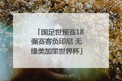 国足世预赛18强赛客负印尼 无缘美加墨世界杯