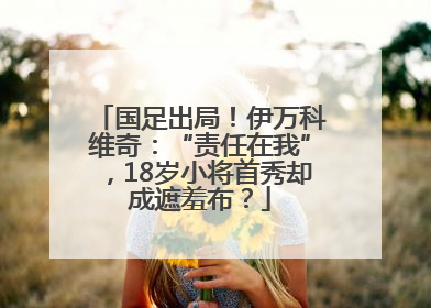 国足出局！伊万科维奇：“责任在我”，18岁小将首秀却成遮羞布？