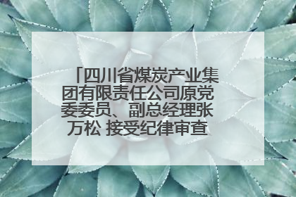 四川省煤炭产业集团有限责任公司原党委委员、副总经理张万松 接受纪律审查和监察调查