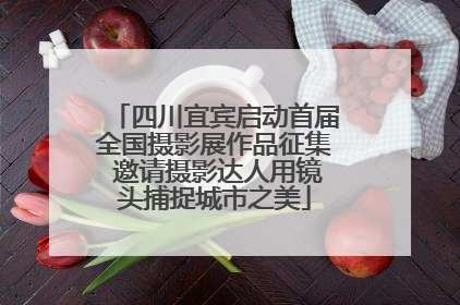 四川宜宾启动首届全国摄影展作品征集 邀请摄影达人用镜头捕捉城市之美