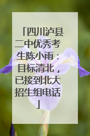 四川泸县二中优秀考生陈小雨：目标清北，已接到北大招生组电话
