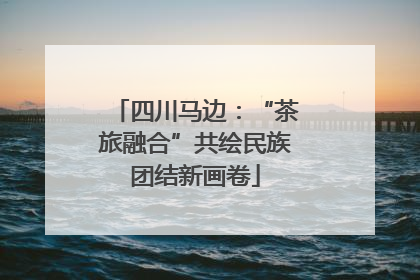 四川马边：“茶旅融合”共绘民族团结新画卷