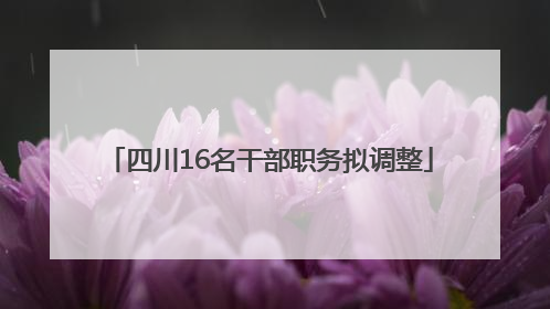 四川16名干部职务拟调整