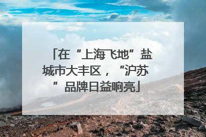 在“上海飞地”盐城市大丰区，“沪苏”品牌日益响亮