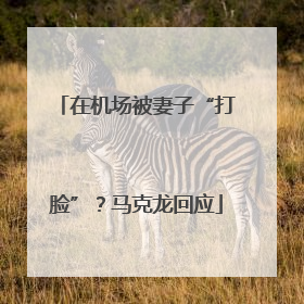 在机场被妻子“打脸”？马克龙回应