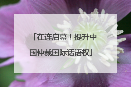 在连启幕！提升中国仲裁国际话语权