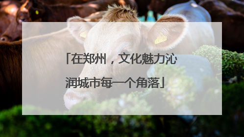 在郑州，文化魅力沁润城市每一个角落