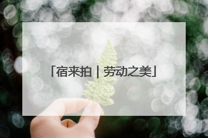 宿来拍｜劳动之美