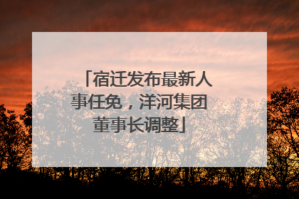 宿迁发布最新人事任免，洋河集团董事长调整