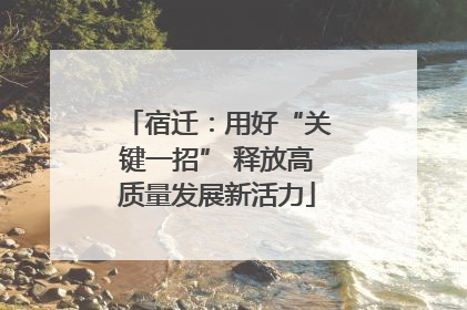 宿迁：用好“关键一招” 释放高质量发展新活力