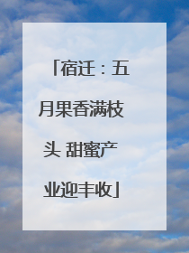 宿迁：五月果香满枝头 甜蜜产业迎丰收
