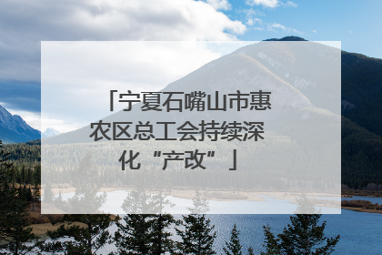 宁夏石嘴山市惠农区总工会持续深化“产改”
