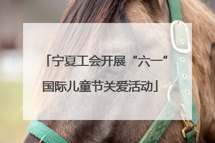 宁夏工会开展“六一”国际儿童节关爱活动