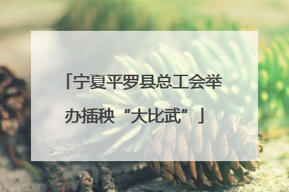 宁夏平罗县总工会举办插秧“大比武”