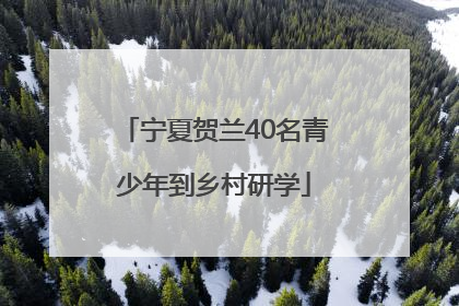 宁夏贺兰40名青少年到乡村研学