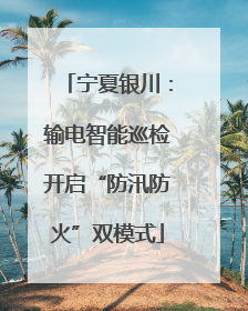 宁夏银川：输电智能巡检开启“防汛防火”双模式