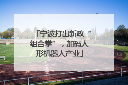 宁波打出新政“组合拳”，加码人形机器人产业